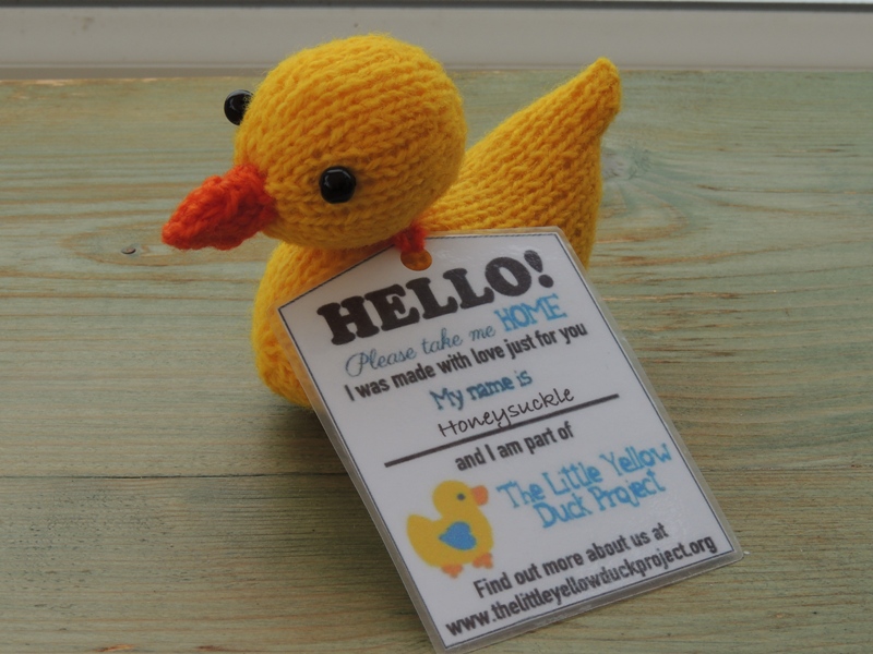 Little Yellow Duck knitting project