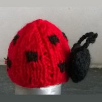Ladybird-Innocent-Smoothie-Hat-Pattern